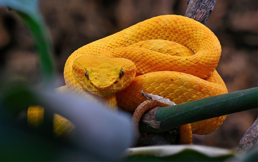 2025-10-22 17-44-55 (B,R8,S4)_genErase_NEO_gross