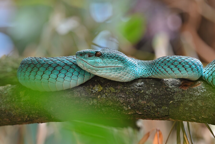 2025-10-22 18-00-49 (B,R8,S4)_NEO_web