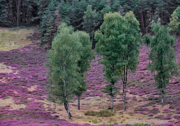 ON TOUR - Munitionsdepot Brüggen/Bracht ON TOUR - Munitionsdepot Brüggen/Bracht Munitionslager Brüggen/Bracht vom 30.08.2025