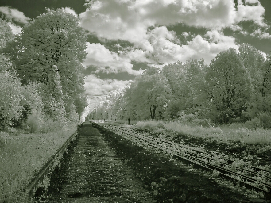 DSC00615_NEO - Kopie