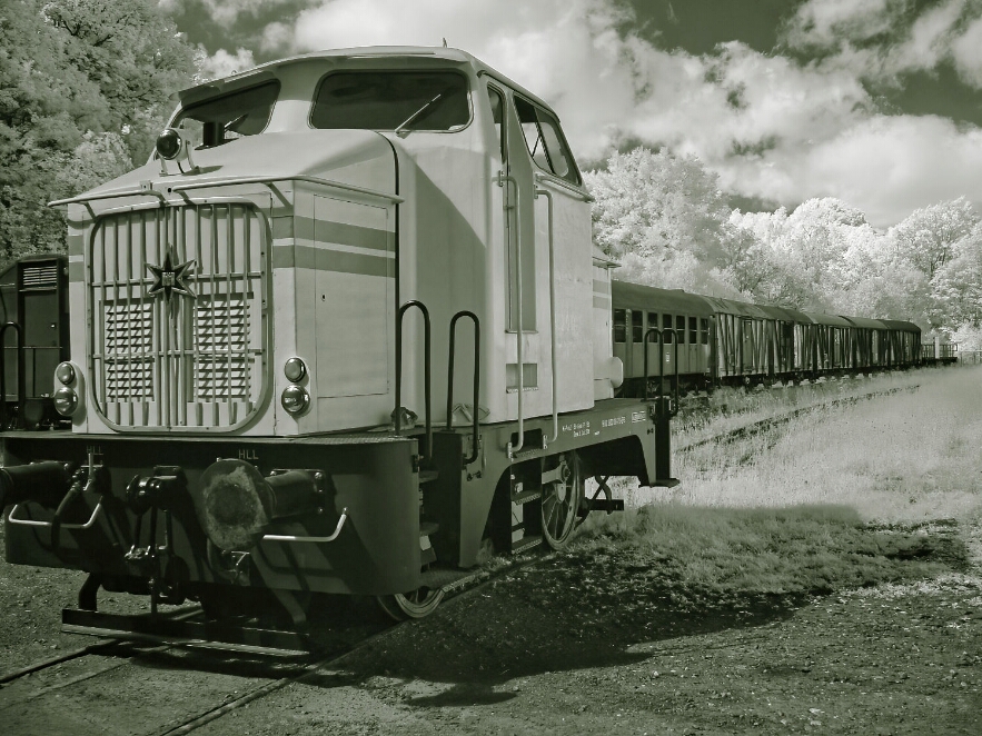 DSC00617_NEO - Kopie