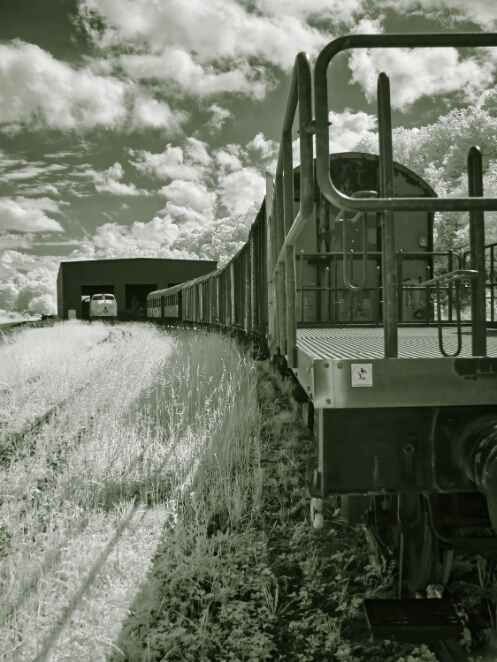 DSC00622_NEO - Kopie