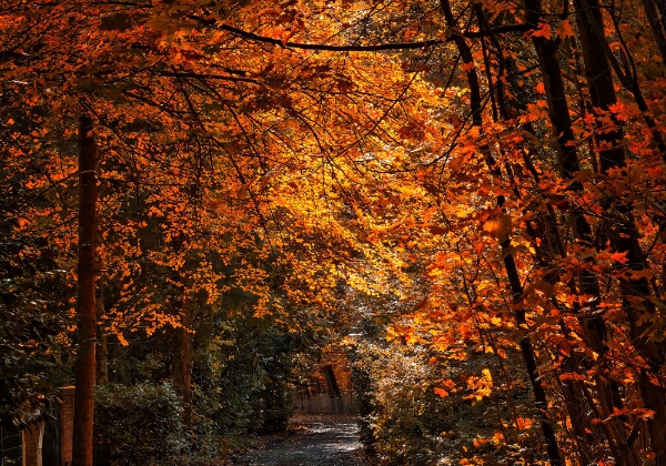 JOURNAL JOURNAL Tages-Touren